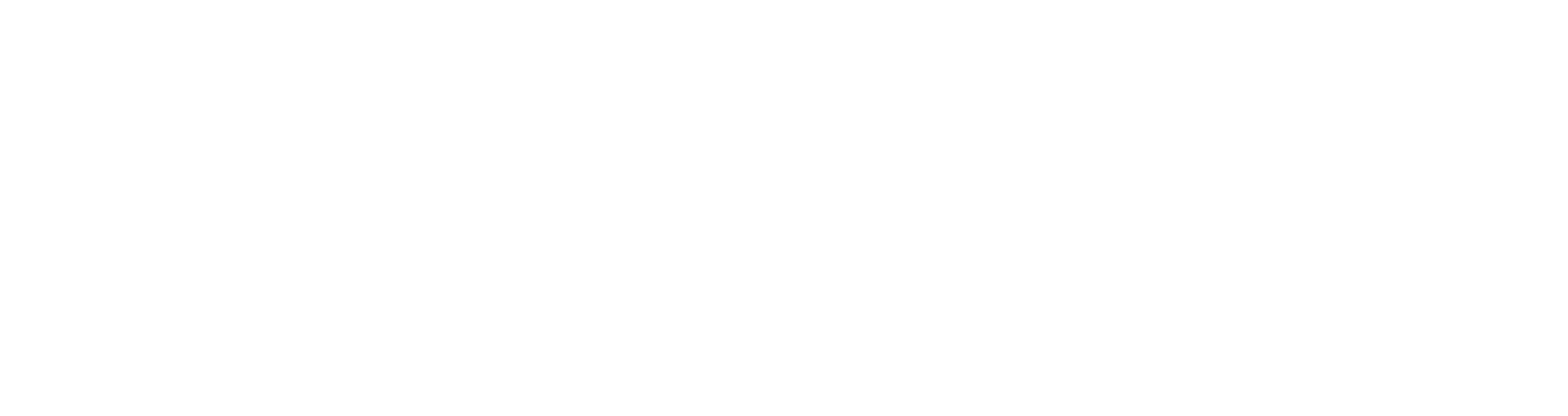 Nine Village New Logo Interior_White Horizontal